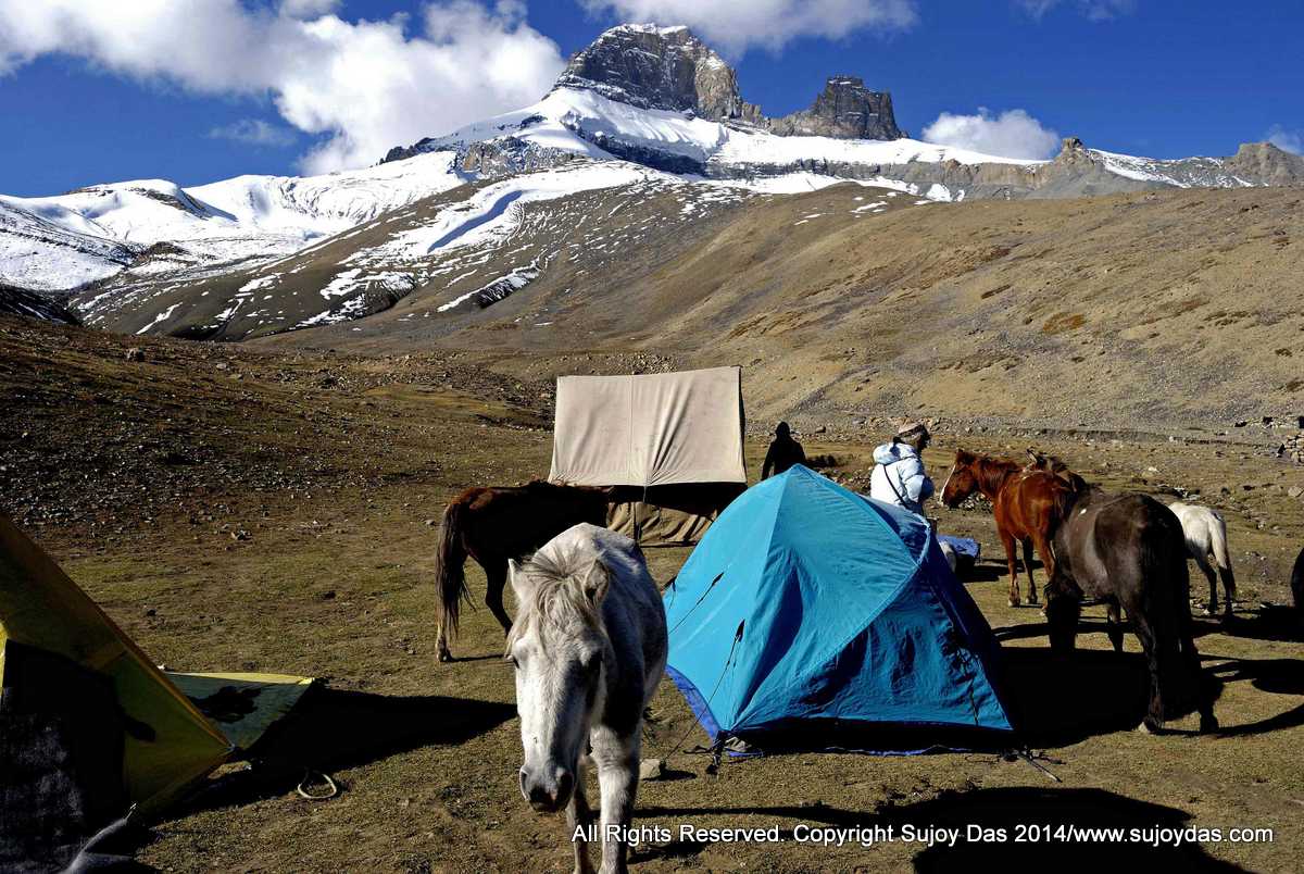 Camp below the pass of Singhi la ( 5000 metres)