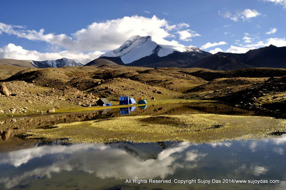 The Markha Valley Trek, Ladakh  | August  2024