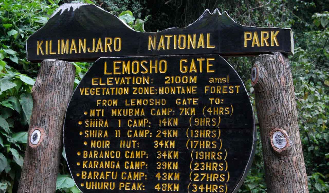 Kilimanjaro – The Lemosho Route | January 2024